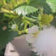 ヒメ日記 2025/02/14 23:37 投稿 ももこ 熟女家 梅田店