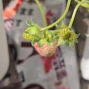 ヒメ日記 2025/02/20 11:27 投稿 ももこ 熟女家 梅田店