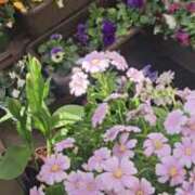 ヒメ日記 2025/03/01 10:17 投稿 ももこ 熟女家 梅田店