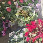 ヒメ日記 2025/03/10 10:17 投稿 ももこ 熟女家 梅田店