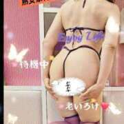 ヒメ日記 2025/04/17 13:57 投稿 ももこ 熟女家 梅田店