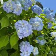 ヒメ日記 2025/07/01 11:07 投稿 ももこ 熟女家 梅田店