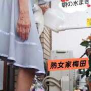 ヒメ日記 2025/07/05 09:07 投稿 ももこ 熟女家 梅田店