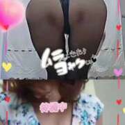 ヒメ日記 2025/09/10 19:06 投稿 ももこ 熟女家 梅田店