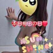 ヒメ日記 2026/08/05 08:47 投稿 ももこ 熟女家 梅田店