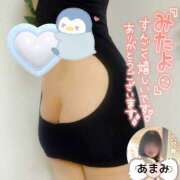 ヒメ日記 2025/01/17 11:48 投稿 あまみ 熟女の風俗最終章 本厚木店