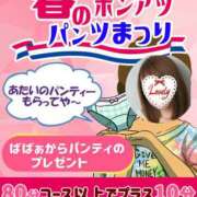 ヒメ日記 2025/02/28 07:35 投稿 あまみ 熟女の風俗最終章 本厚木店