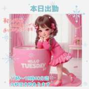 ヒメ日記 2025/03/04 12:23 投稿 あまみ 熟女の風俗最終章 本厚木店