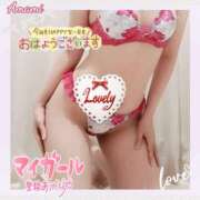 ヒメ日記 2025/03/09 06:44 投稿 あまみ 熟女の風俗最終章 本厚木店