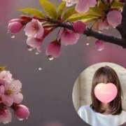 ヒメ日記 2025/04/02 11:23 投稿 あまみ 熟女の風俗最終章 本厚木店