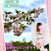 ヒメ日記 2025/04/10 09:07 投稿 あまみ 熟女の風俗最終章 本厚木店