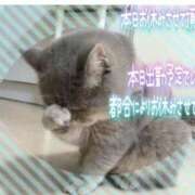 ヒメ日記 2025/05/10 08:45 投稿 あまみ 熟女の風俗最終章 本厚木店