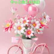 ヒメ日記 2025/05/14 13:05 投稿 あまみ 熟女の風俗最終章 本厚木店