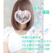 ヒメ日記 2025/06/02 12:47 投稿 あまみ 熟女の風俗最終章 本厚木店