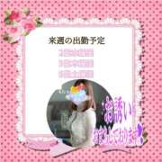 ヒメ日記 2025/06/29 07:25 投稿 あまみ 熟女の風俗最終章 本厚木店