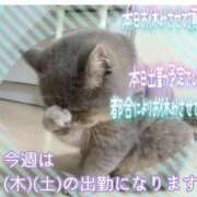 ヒメ日記 2025/09/09 09:53 投稿 あまみ 熟女の風俗最終章 本厚木店