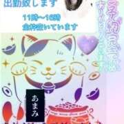 ヒメ日記 2025/09/27 09:32 投稿 あまみ 熟女の風俗最終章 本厚木店