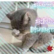 ヒメ日記 2025/10/10 09:20 投稿 あまみ 熟女の風俗最終章 本厚木店