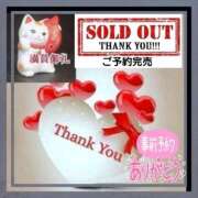 ヒメ日記 2025/11/14 09:11 投稿 あまみ 熟女の風俗最終章 本厚木店