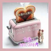 ヒメ日記 2025/11/15 06:33 投稿 あまみ 熟女の風俗最終章 本厚木店