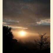 ヒメ日記 2025/12/23 05:41 投稿 あまみ 熟女の風俗最終章 本厚木店