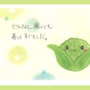 ヒメ日記 2026/02/01 10:04 投稿 あまみ 熟女の風俗最終章 本厚木店