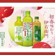 ヒメ日記 2026/02/06 07:41 投稿 あまみ 熟女の風俗最終章 本厚木店