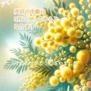 ヒメ日記 2026/02/26 07:21 投稿 あまみ 熟女の風俗最終章 本厚木店