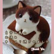 ヒメ日記 2026/03/20 05:31 投稿 あまみ 熟女の風俗最終章 本厚木店