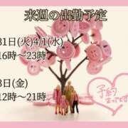 ヒメ日記 2026/03/27 07:41 投稿 あまみ 熟女の風俗最終章 本厚木店