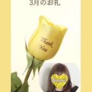 ヒメ日記 2026/04/01 05:11 投稿 あまみ 熟女の風俗最終章 本厚木店