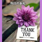 ヒメ日記 2026/04/03 23:41 投稿 あまみ 熟女の風俗最終章 本厚木店