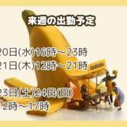 ヒメ日記 2026/05/17 09:41 投稿 あまみ 熟女の風俗最終章 本厚木店