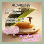 ヒメ日記 2026/06/22 09:48 投稿 あまみ 熟女の風俗最終章 本厚木店
