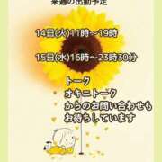 ヒメ日記 2026/07/09 07:01 投稿 あまみ 熟女の風俗最終章 本厚木店
