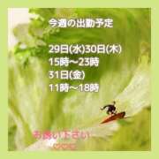 ヒメ日記 2026/07/28 09:02 投稿 あまみ 熟女の風俗最終章 本厚木店