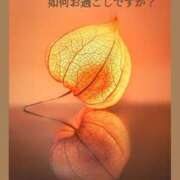 ヒメ日記 2026/08/14 13:41 投稿 あまみ 熟女の風俗最終章 本厚木店