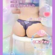ヒメ日記 2026/08/26 11:01 投稿 あまみ 熟女の風俗最終章 本厚木店