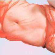 ヒメ日記 2025/04/19 00:21 投稿 あき 蒼いうさぎ