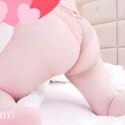 ヒメ日記 2025/05/05 21:24 投稿 あき 蒼いうさぎ