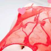 ヒメ日記 2025/06/23 21:39 投稿 あき 蒼いうさぎ