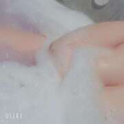 ヒメ日記 2026/02/24 21:17 投稿 あき 蒼いうさぎ