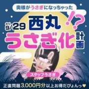 ヒメ日記 2023/09/29 12:08 投稿 辺見【へんみ】 丸妻 西船橋店