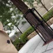 ヒメ日記 2026/03/19 09:52 投稿 辺見【へんみ】 丸妻 西船橋店