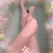 ヒメ日記 2025/12/27 15:05 投稿 明菜 池袋夢幻