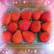 ヒメ日記 2026/02/13 11:05 投稿 明菜 池袋夢幻