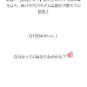 ヒメ日記 2025/01/26 09:46 投稿 えま ダイスキ