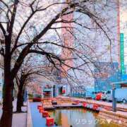 ヒメ日記 2026/04/05 15:25 投稿 ゆり (Yuri) 出張メンズエステ RELAX【DIVAグループ】