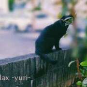ヒメ日記 2026/09/10 19:06 投稿 ゆり (Yuri) 出張メンズエステ RELAX【DIVAグループ】