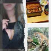 ヒメ日記 2025/09/22 08:18 投稿 ここ モアグループ川越人妻花壇